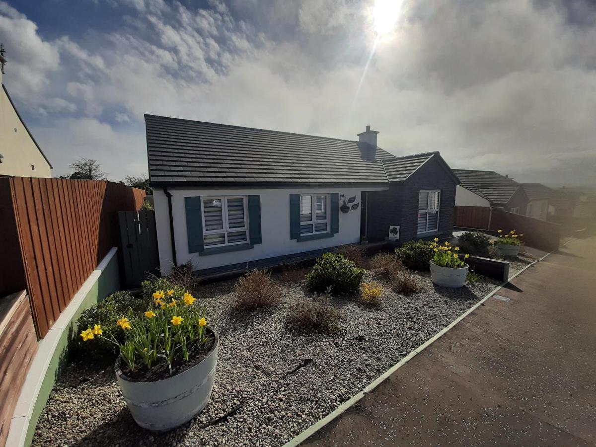 Number 14 Downpatrick Exterior foto